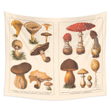 Illustrated Mushroom Identification Diagram Wall Tapestry - The.MaverickLife